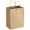 Natural, variant on kraft paper bags, 8" x 5" x 11", kraft, 250/carton