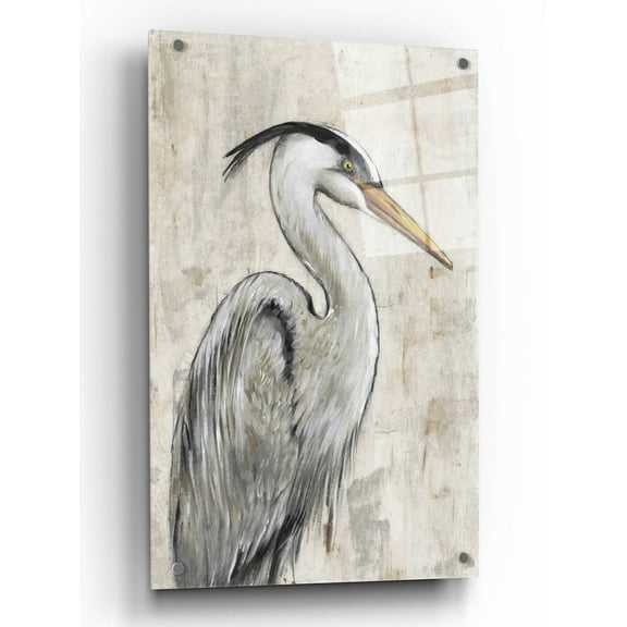 Epic Art 'Grey Heron I' by Tim O'Toole, Acrylic Glass Wall Art, 24"x36"
