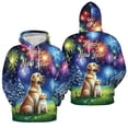 thumbnail image 3 of Happy New Year Labrador Retriever Family Cheer Winter Midnight Firework All Over Print 3D Hoodie Unisex Merch Hoodies Lab Dog Lover Gifts - 02025, 3 of 6