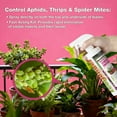 thumbnail image 3 of EcoVenger Garden Insect Control 16 oz, Plant Extract Based, Indoor & Outdoor, Kills Aphids, Mealybugs, Spider Mites and Gnats All Stages and Eggs, Non-Toxic Child & Pet Safe, 3 of 13