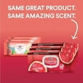 thumbnail image 2 of Clorox Scentiva Wipes, Bleach Free Cleaning Wipes, Household Essentials, Tahitian Grapefruit Splash, 75 Count (Pack of 3), 2 of 3