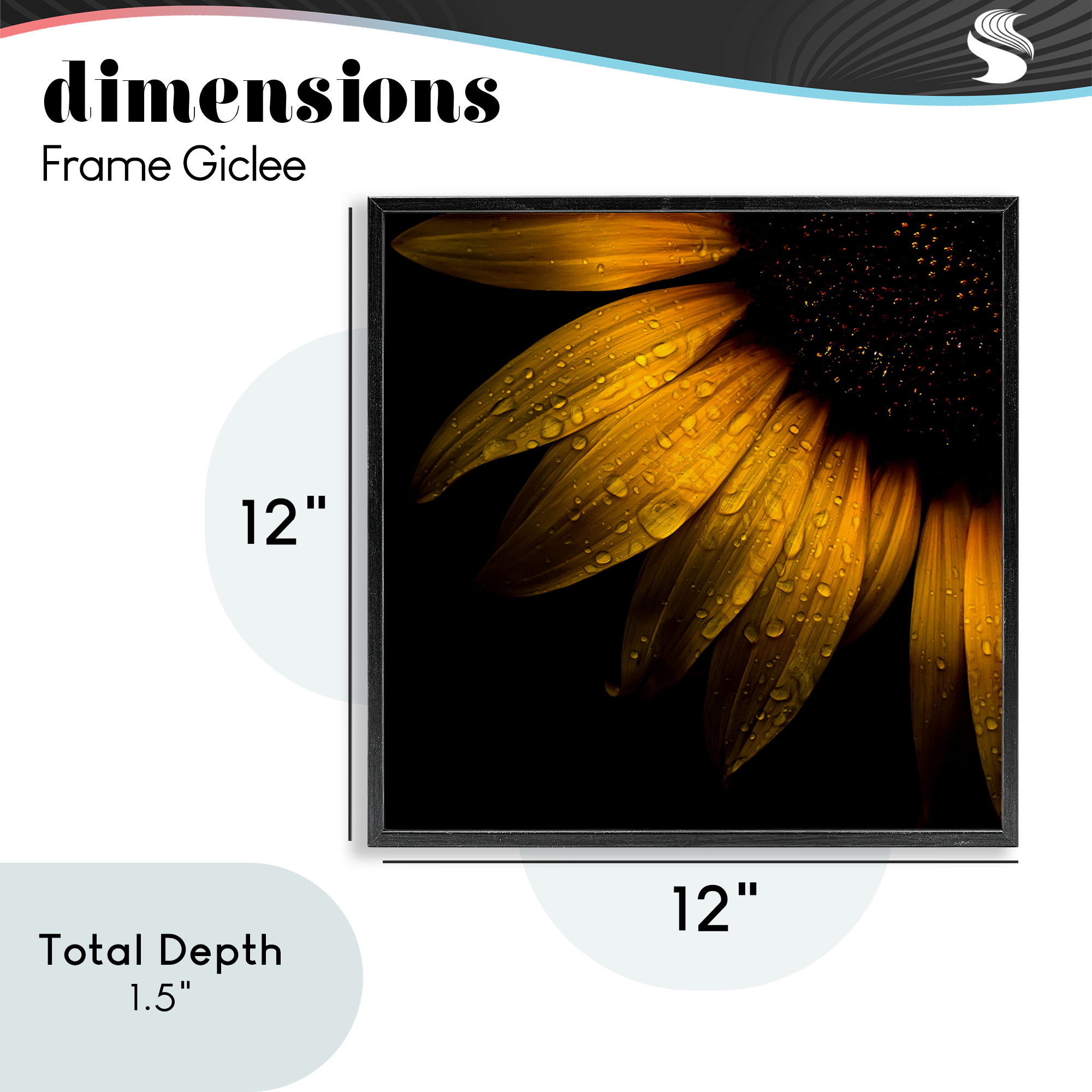 Sunflower Detail with Droplets Black Framed Giclee Art, design by Brian Carson Photography