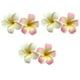 thumbnail image 1 of 3 pares de 7 cm blanco y rosa hawaiano Frangipani Plumeria cabeza de espuma flor fiesta playa pinzas para el cabello, 1 of 5