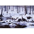 thumbnail image 2 of Goebel, Wilhelm 24x17 Black Ornate Wood Framed with Double Matting Museum Art Print Titled - Hardwood Creek - Wild Turkeys, 2 of 4