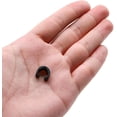 thumbnail image 4 of 30 Pcs Pinces à Vélo Noires, Pinces de Tuyau de Guidage pour Vélo de Route, 4 of 5
