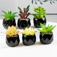 thumbnail image 4 of Artificial Succulent Plant Mini - Plastic Greenery Decoration Faux Potted Plant, 4 of 5