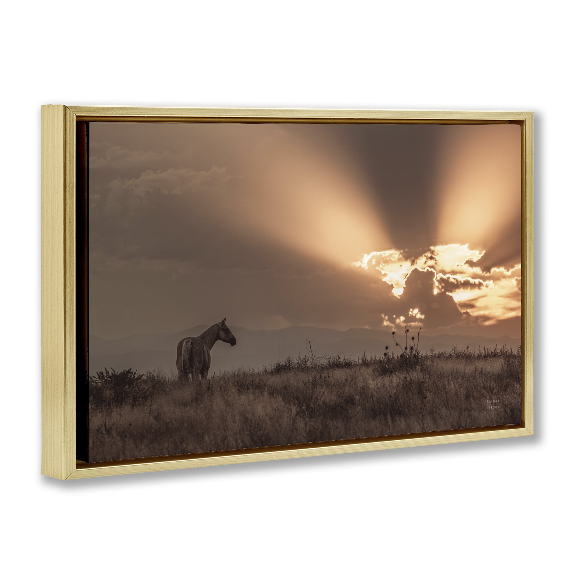 Stupell Industries Faded Sunset with Horse Landscape & Nature Photography Gold Floater Framed Canvas Art Print Wall Art, 25 x 17