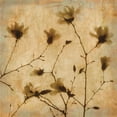 thumbnail image 2 of Kelly, Caroline 20x20 Gold Ornate Wood Framed with Double Matting Museum Art Print Titled - Magnolias II, 2 of 4