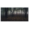 thumbnail image 2 of Design Art - Dark Spooky Misty Wild Forest, 2 of 4