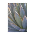 thumbnail image 2 of Gango Home Decor Contemporary California Agave II by Kathy Mahan (Printed on Paper); One 16x24in Fine Art Paper Giclee Print, 2 of 4