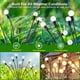 thumbnail image 4 of Dinheiro Luces solares de jardín – Nueva luz solar mejorada, 8 luces solares Starburst para exteriores, luces solares de luciérnaga al aire libre, impermeables, luces decorativas solares para jardín,, 4 of 6