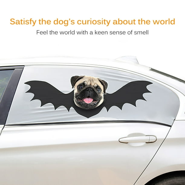 Dog car shop security