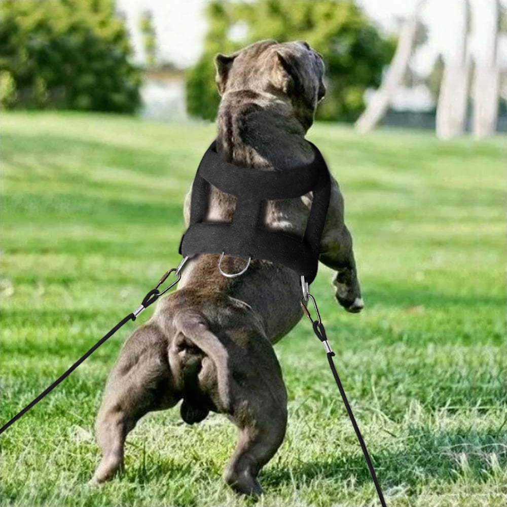 Pet Artist Durable Dog Weight Pulling Harness HEAVY DUTY Adjustable Training German Shepherd PITBULL