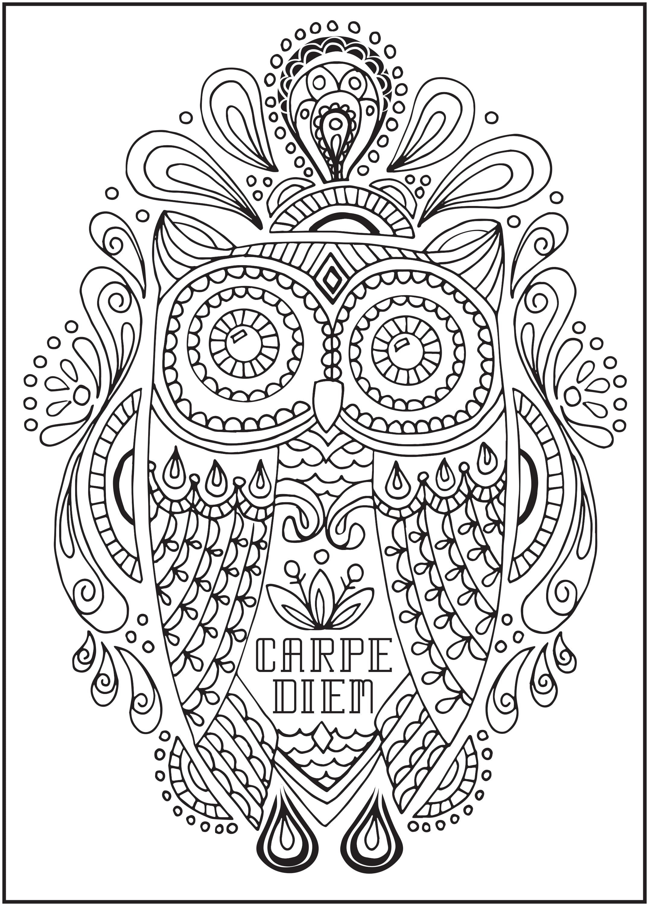 Cra-Z-Art Timeless Creations, Feathered Friends New Adult Coloring