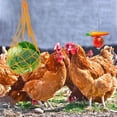 thumbnail image 4 of Alimentador De Verduras Y Pollos, Alimentador Colgante De Frutas Y Aperitivos Con Gancho, Herramienta De Alimentación Para Pollos, Ganso, Pato, Aves De Corral Cateissary PT002186-00, 4 of 6