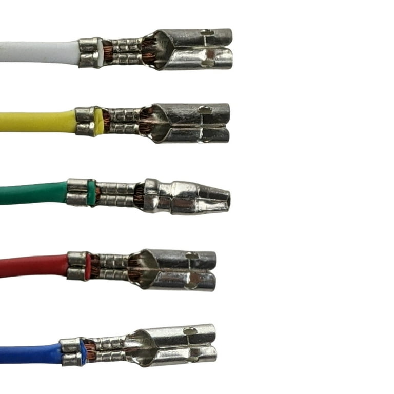 サリーとマキー Amazon.com: Ignition Stator Magneto 5 Wire AC 6 Pole Coil