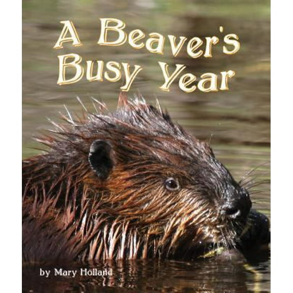 Pre-Owned The Beavers' Busy Year (Paperback) 1628552131 9781628552133