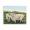 Pastoral Grazing Sheep Pair, variant on Stupell Industries Farmhouse Purple Fields & Cows Black Framed Print Under Glass, 16 x 13, by Marnie Bourque