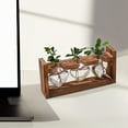 thumbnail image 6 of Baoblaze Glass Vase Desk Flowers Holder Hydroponic Vase for Housewarming Shelf Glass Vases, 6 of 8