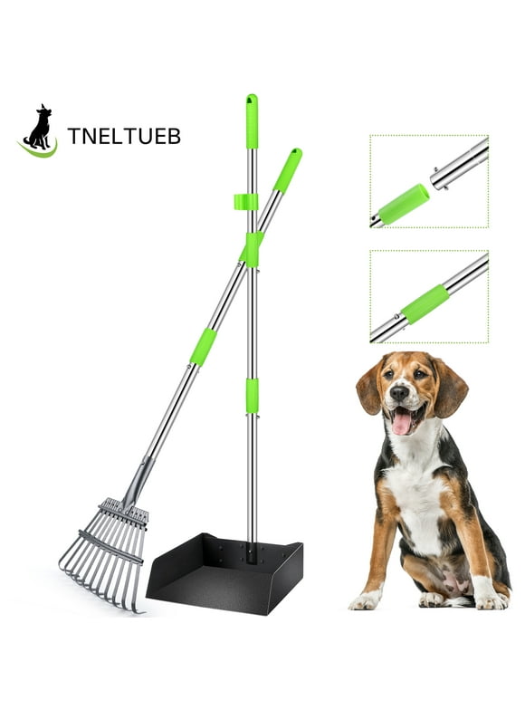 Pooper Scoopers in Dog Potty Training