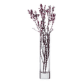 thumbnail image 2 of Floreros de Vidrio Cristal Libbey Carnival Juego de 12 piezas Altura 19.05 cm Malubero Transparente, 2 of 5