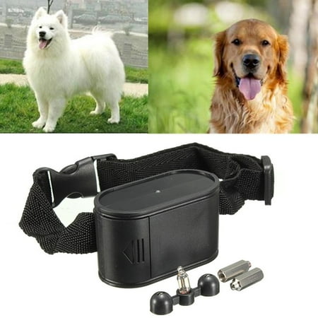 Walmart Electric Dog Collar Walmart Electric Dog Collar