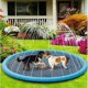 thumbnail image 4 of Fidofaves Splash Pad for Dogs, Fidofaves Splash Pool, Dog Splash Pad for Dogs, 4 of 5