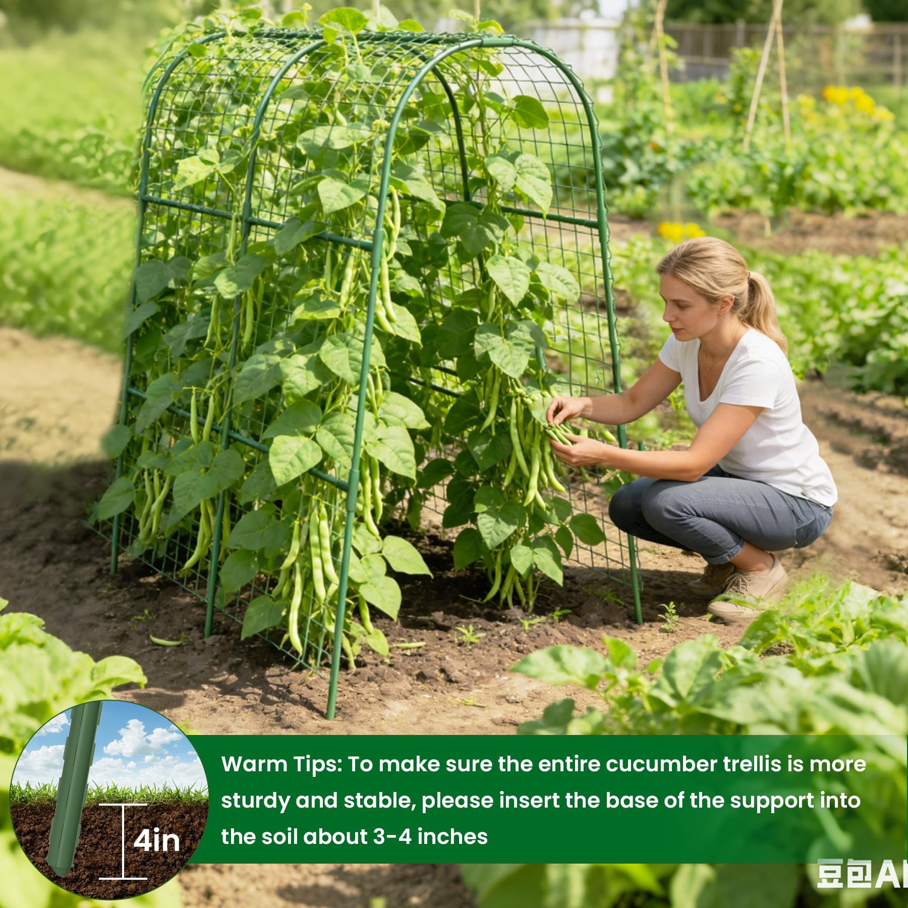 Cucumber Trellis For Raised Bed 32" L X 48" H  U-shape Garden Climbing Plants Outdoor Metal Arch Vegetables Plant Support Tomato Pea Zucchini Grape Flowers
