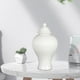thumbnail image 5 of Jarrón de para flores, soporte para plantas, tarro de almacenamiento, tarro de jengibre de cerámica para dormitorio, encimera, arreglo Blanco BLESIY tarro de jengibre, 5 of 8
