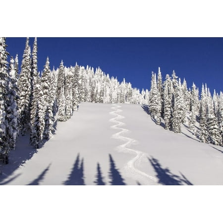 Lodi Shops Ski Tracks Off of Lodi at Whitefish, Mountain Resort, Montana, Usa Print Wall Art By Chuck Haney ()