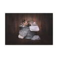 thumbnail image 3 of Cute Calico Bathee Canvas Wall Art for Home Decor Ready-to-Hang, 3 of 7