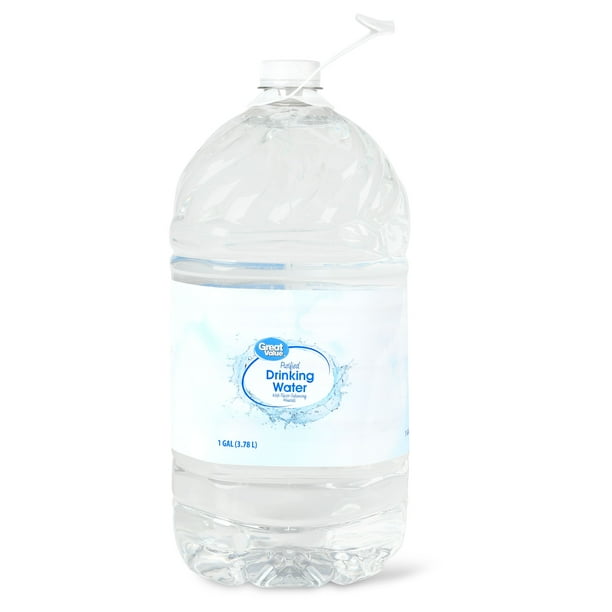 Great Value Purified Drinking Water, 1 gal