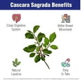 thumbnail image 6 of Green Royalty- Cascara Sagrada Bark 4 Oz - Herbal Leaves-For Digestion, 6 of 6