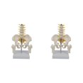 thumbnail image 1 of maskred PVC Human Pelvis with Pelvis and Size Toy Learning Life Bones Leg Style A 2Set, 1 of 6
