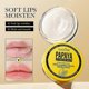 thumbnail image 2 of Papaya Extract Lip Balm for Dry Lips - 6g Hydrating Lip Care with Shea Butter, 2 of 5