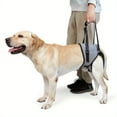 thumbnail image 1 of Dog Lifting Harness, Dog Support Harness For Back Legs, Soft Dog Support Sling For Injured Disabled Small, Medium Large Dogs, Dog Sling For Back Legs, Helps Arthritis ACL Recovery, 1 of 4