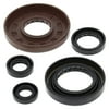 Winderosa 822277 Oil Seal Kit