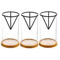 thumbnail image 1 of 3 Pack Avocado Tree Growing Kits, Glass Avocado Seed Vase with Triangle Bracket and Bamboo Base, Sprouting Plant Pot, 1 of 7