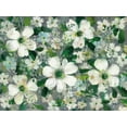 thumbnail image 2 of Nai, Danhui 14x12 White Modern Wood Framed Museum Art Print Titled - Anemones and Friends, 2 of 4
