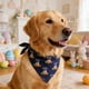 thumbnail image 1 of Ropa y accesorios de Pascua para mascotas, babero para mascotas, bufandas para mascotas con estampado de conejos y huevos de Pascua, decoraciones de Pascua ajustables, adecuadas para mascotas pequeñas, 1 of 6