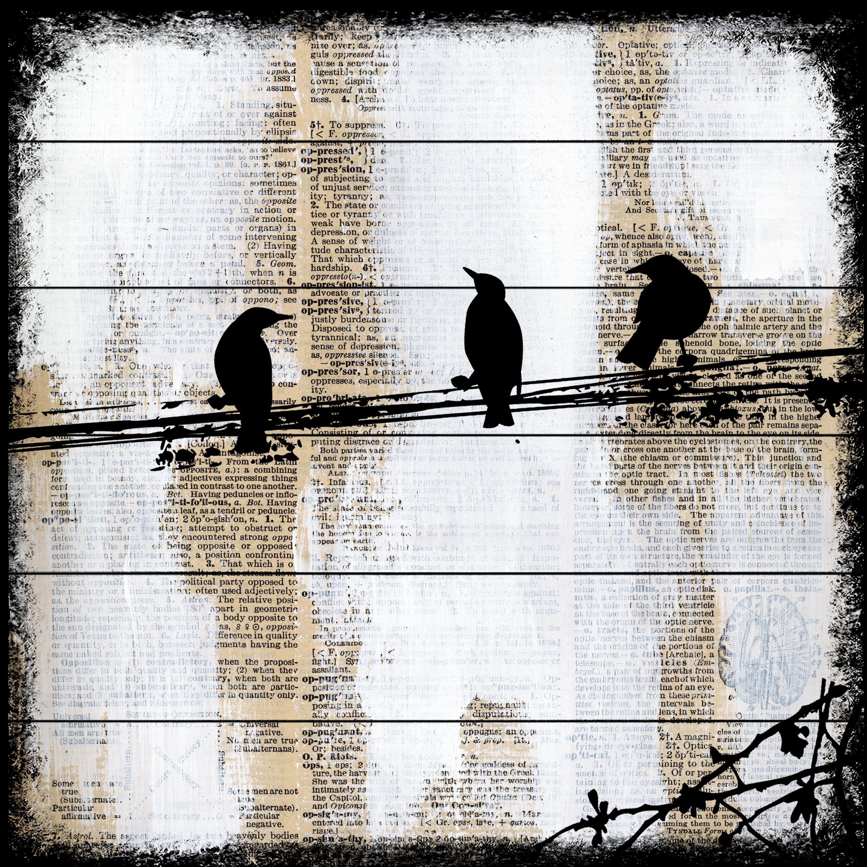 "Winged Gossip" Painting Print on White Wood