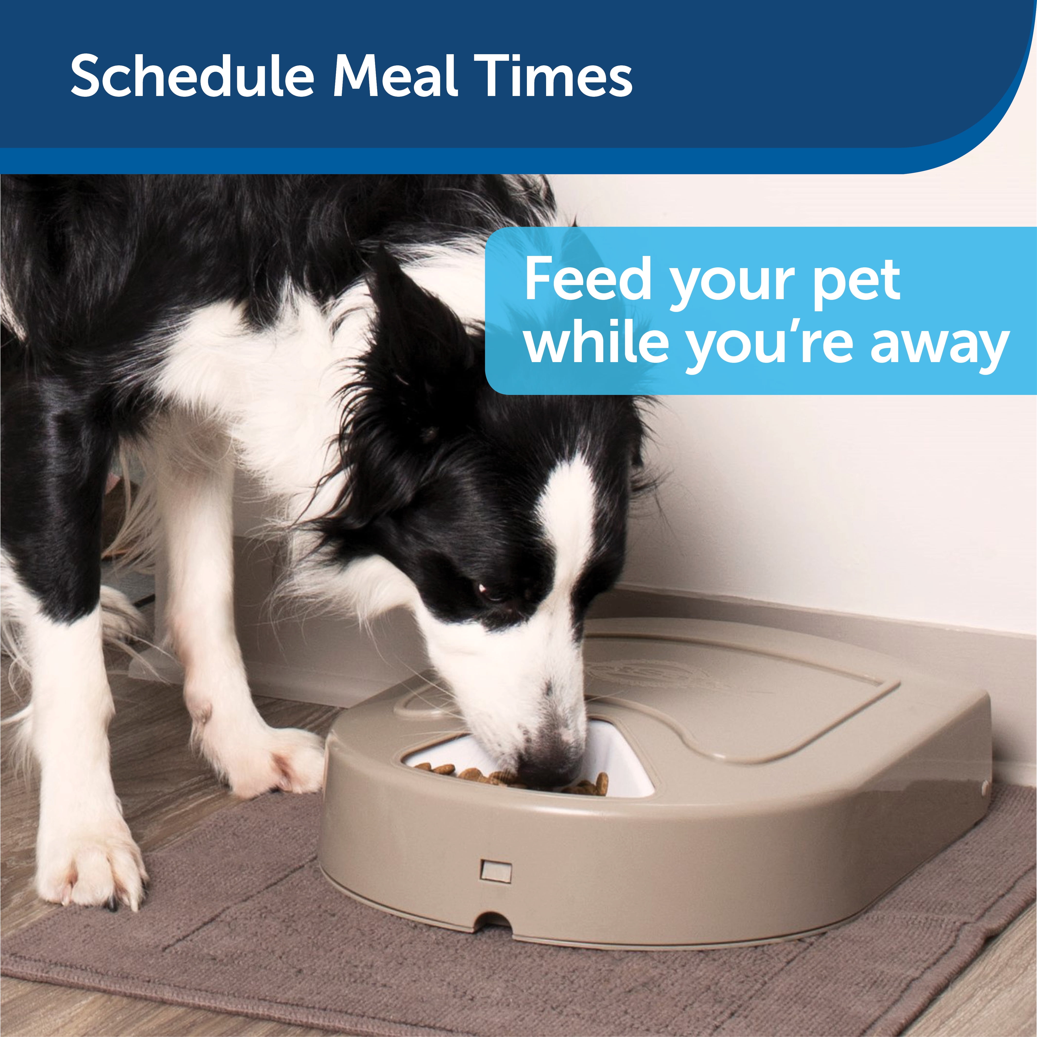 Petsafe 5 Meal Automatic Portion Control Pet Feeder Holds Up To