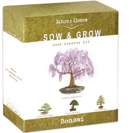 Nature's Blossom Bonsai Tree Grow Kit - 4 Bonsai Trees to Grow From (Best Flowers To Grow From Seed Outdoors)