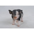 thumbnail image 4 of Figura Hi-Line Gift Ltd Baby Cerdo, color marrón oscuro, 13 cm, 4 of 9