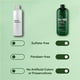 thumbnail image 4 of Champú Botanic Hearth Tea Tree con vitamina C, 480 ml, combate la caspa, 4 of 6