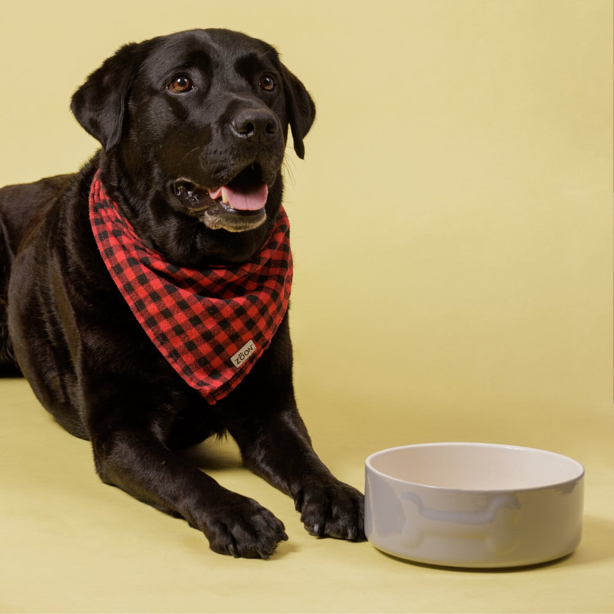 Mason Cash: Embossed Bone Dog Bowl - Gray - 8", 50.7oz - Durable Ceramic Food & Water Dish, Microwave & Dishwasher Safe, Pet Meal Feeding & Hydration