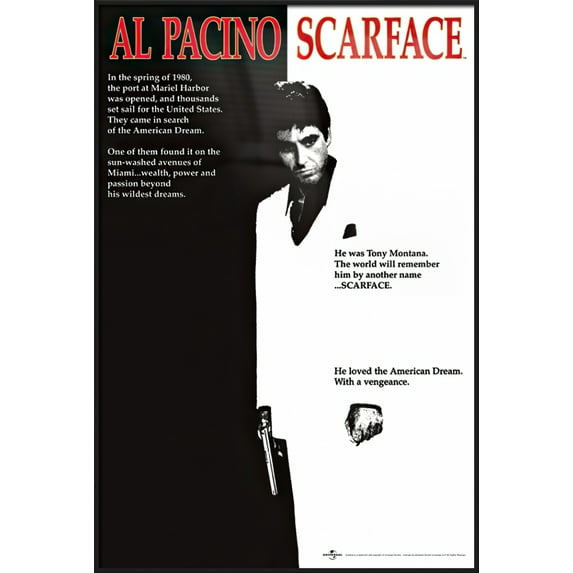 Movie Posters USA Framed Poster, 24" x 36"