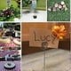 thumbnail image 4 of Rustic Real Wood Base Wedding Table Name Number Holder Party Decoration Card Holders Picture Memo Note Photo Clip Holder (10pcs Table Numbers), 4 of 5