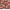 Z6 Daelyn Cherry, variant on Jordan Manufacturing 46.5" x 24" Colsen Berry Red Floral Rectangular Outdoor Deep Seat Chair Cushion Set with Welt