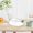 White, variant on Specollect Clearance 1 Pcs Medium Cheese Container with Airtight Lid - Fridge Cheese Saver Ginger Garlic Spice Storage Container